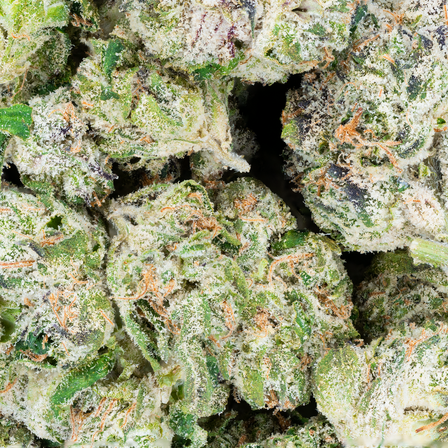 THCa Exotic Smalls