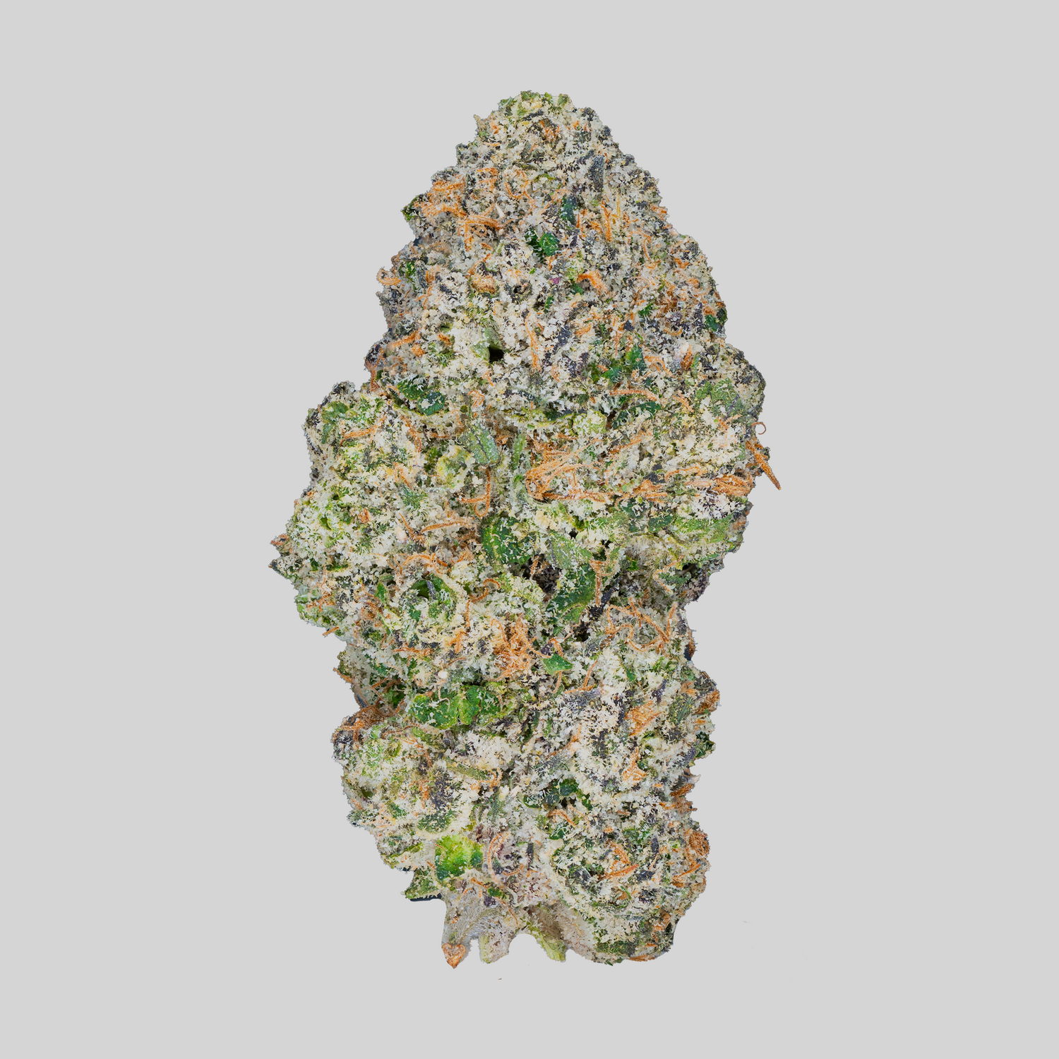 Top Shelf