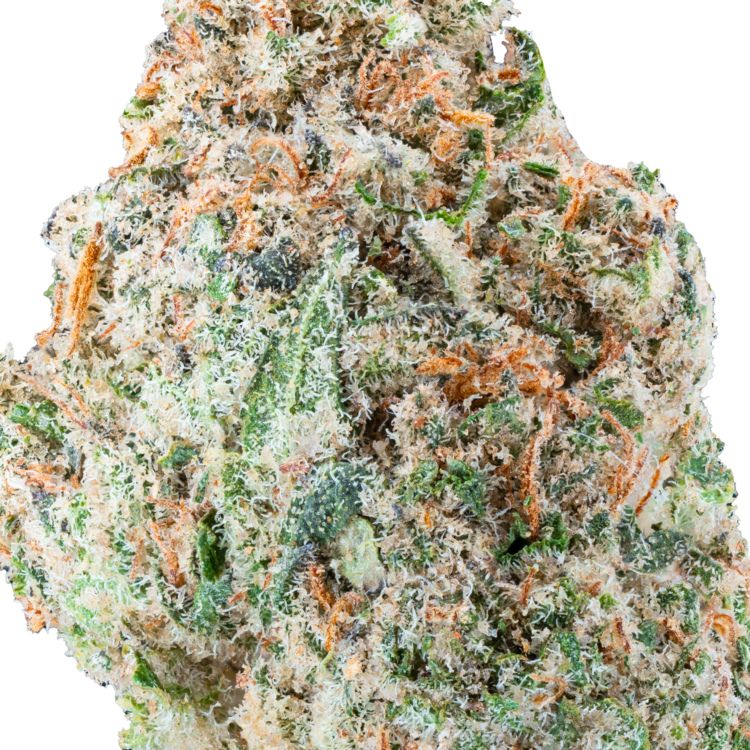 Bulk Indoor Flower