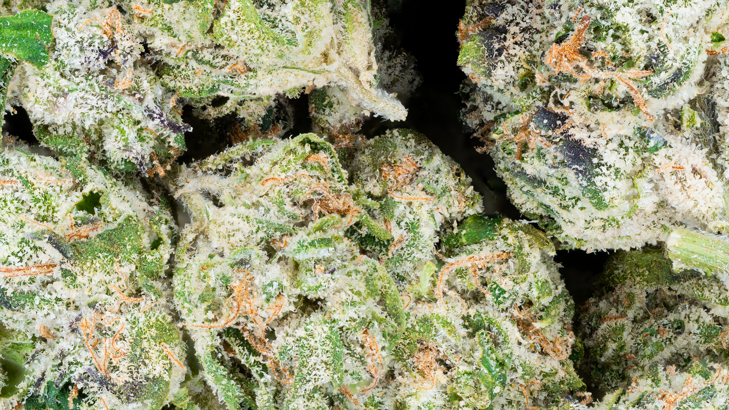 THCa Exotic Smalls