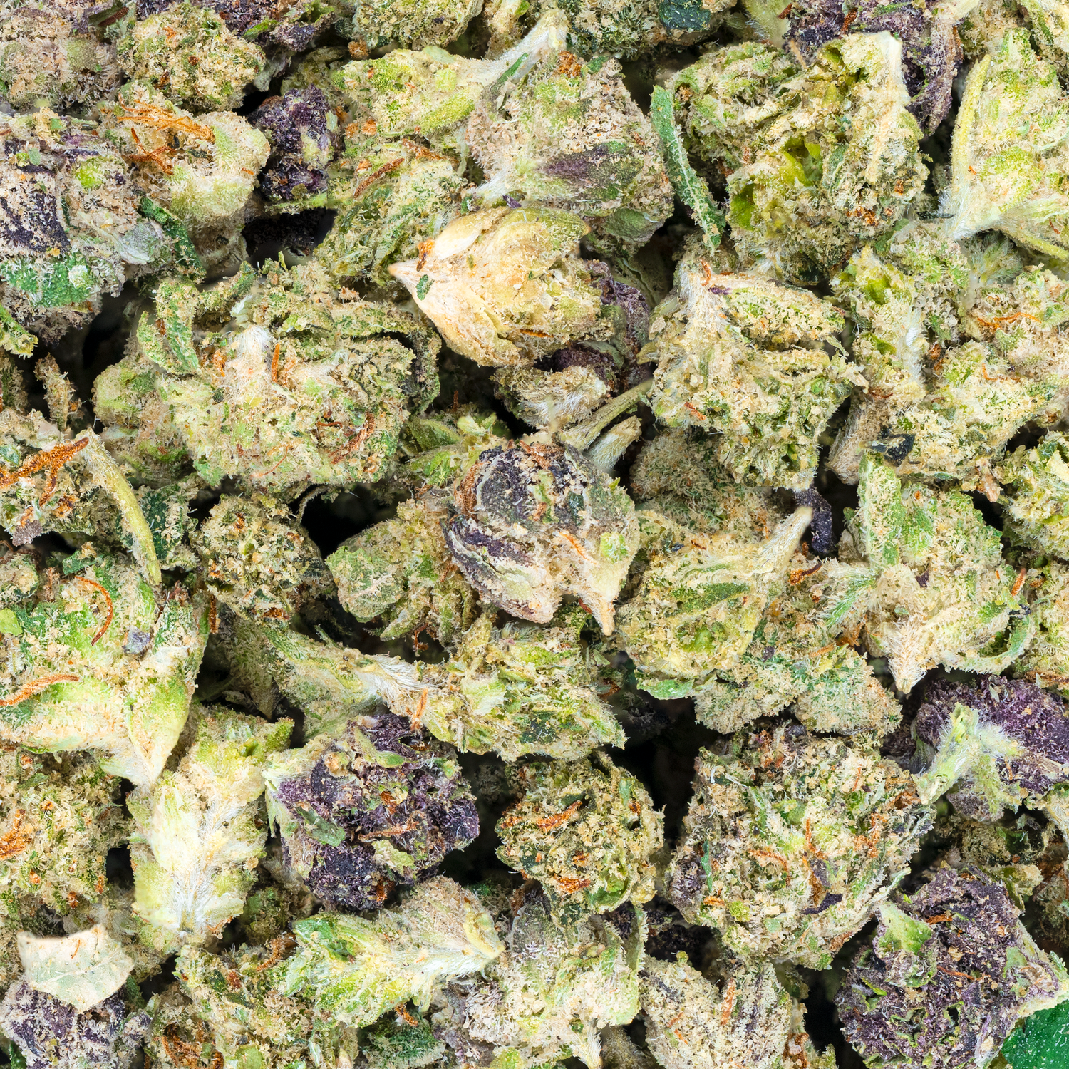 THCa Indoor Micros