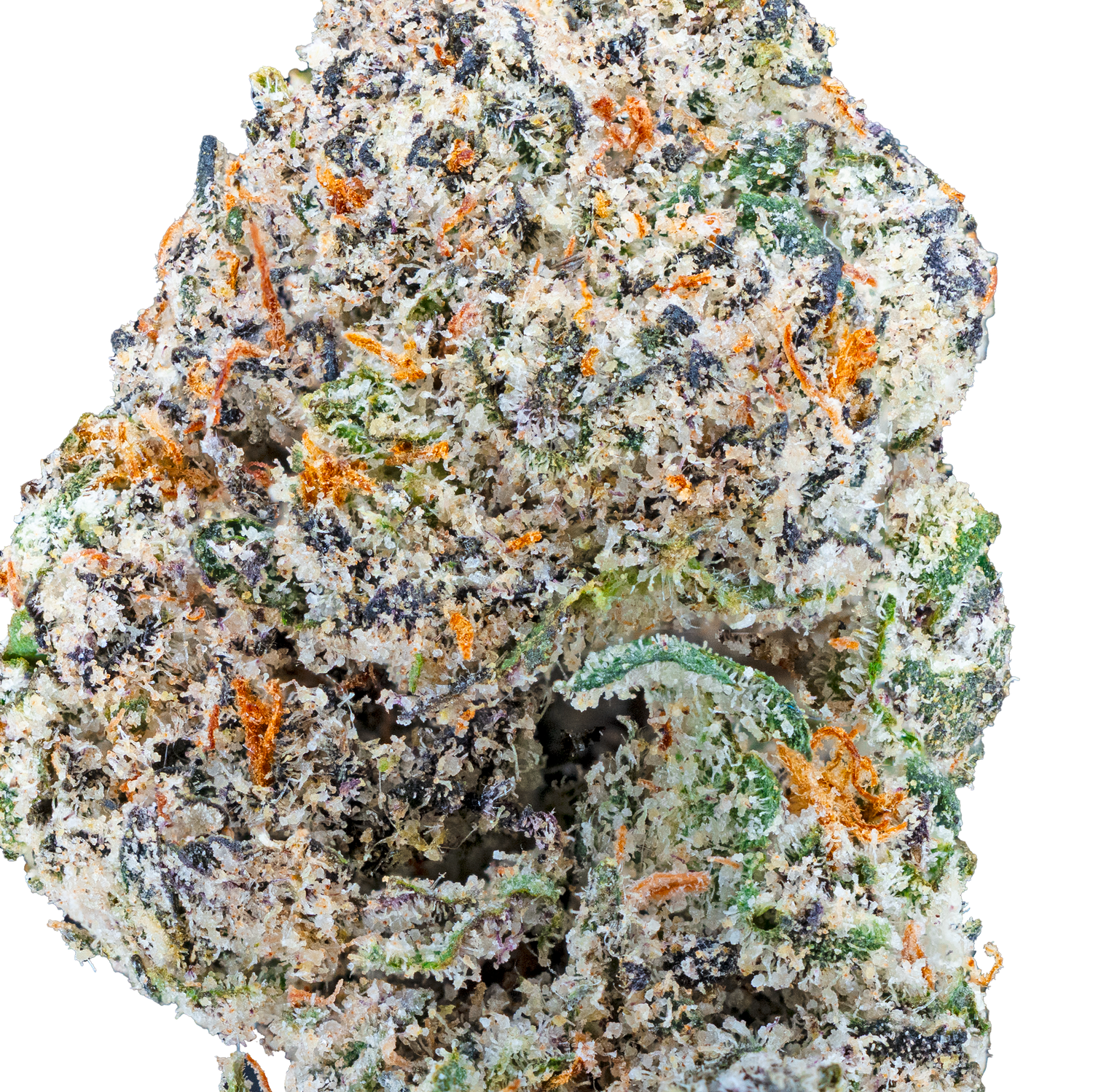 Bulk Super Exotic Flower